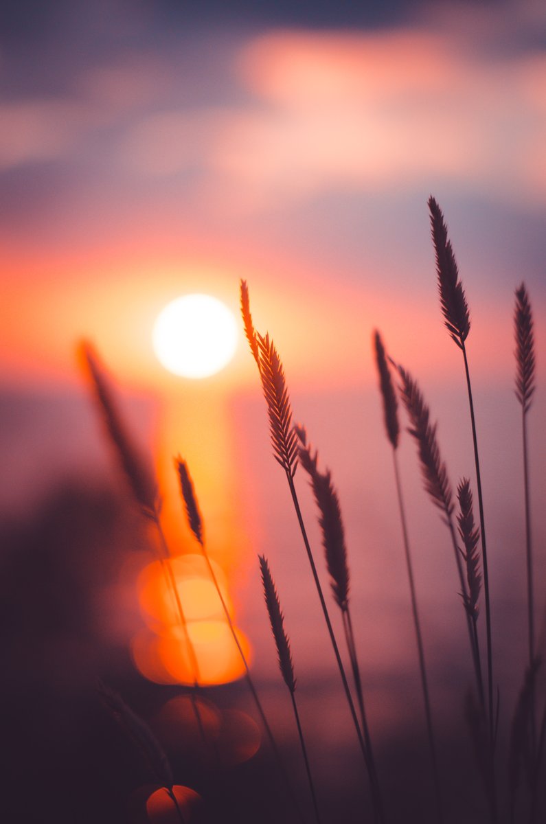 Sacred Seasons: Summer Slowdown